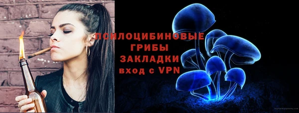 ECSTASY Дегтярск