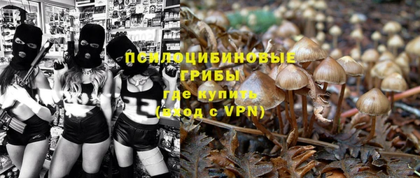 не бодяженный Дедовск