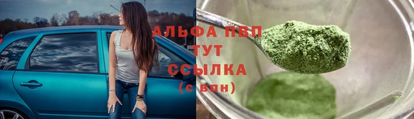 прущие грибы Нязепетровск