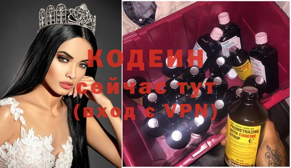 прущие грибы Нязепетровск