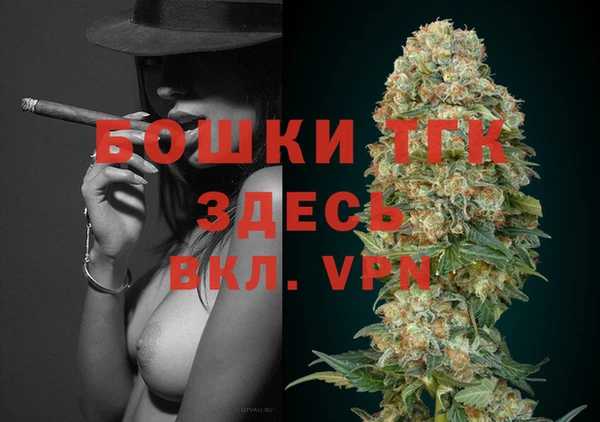прущие грибы Нязепетровск