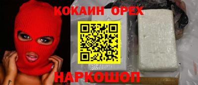 СК Бийск