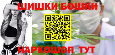 СК Бийск