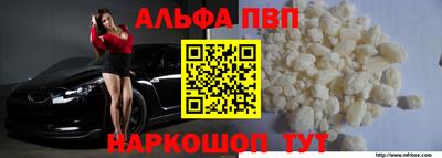 СК Бийск