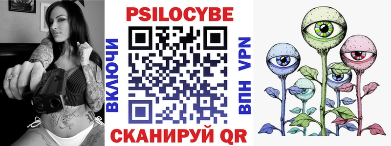 Галлюциногенные грибы Psilocybe Искитим