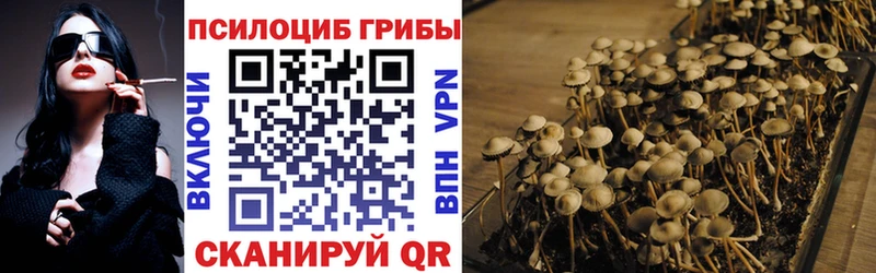 blacksprut зеркало  Искитим  Галлюциногенные грибы ЛСД 