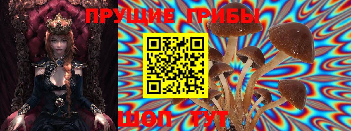 где можно купить   Галлюциногенные грибы ЛСД  Вход с VPN  Искитим 